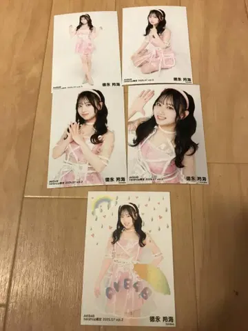 AKB48 넷샵 한정판 브로마이드 랜덤 5종 풀컴프 토쿠나가 레이미