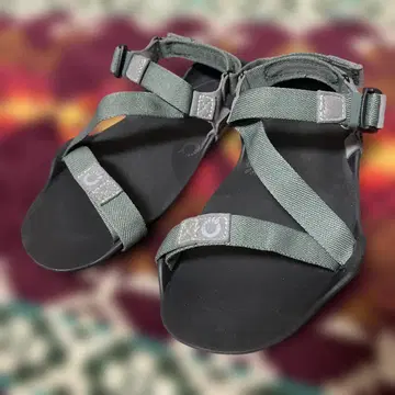제로 슈즈 M's Z-트렉 2 M6 ( 24cm )