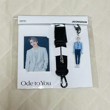 seventeen Ode to You 랜야드 세트