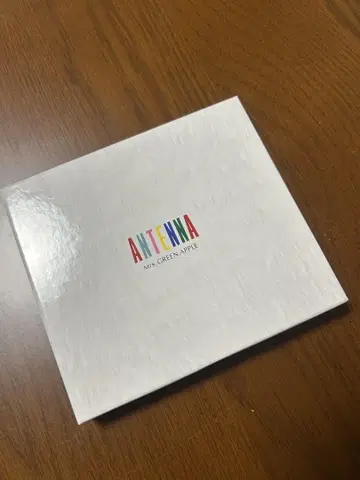 미세스 그린애플 ANTENNA 최초 한정판