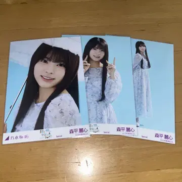 모리히라 레이신 스페셜 컴프