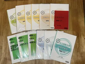 사노시 24 + 직전 대책 세트