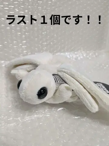 곤충 MANIAC 누에 봉제 인형 회장 한정 상품