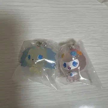 주얼펫 사피 엔젤라