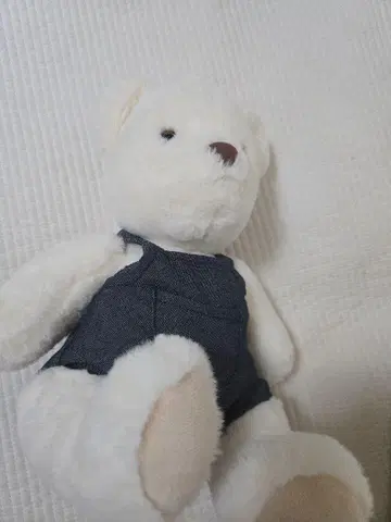 곰 봉제 인형