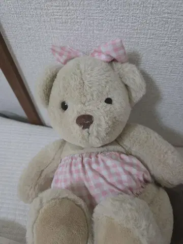 곰 봉제 인형