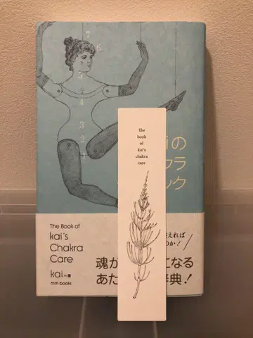 kai의 차크라 케어북