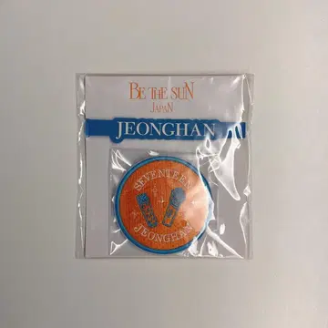 SEVENTEEN 정한 응원봉 액세서리