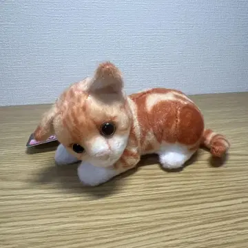 리얼한 고양이 봉제 인형