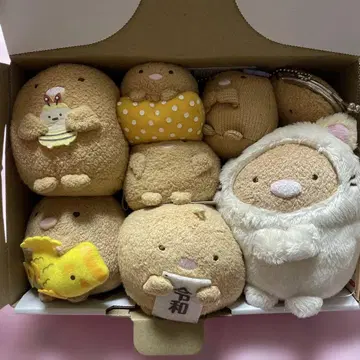 스미코구라시 돈카츠 8세트