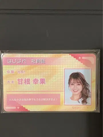 가면라이더 가브 사원증 아크릴 카드 아마네 유카 미야베 노조미