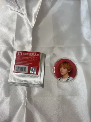 BTS 태태 캔뱃지