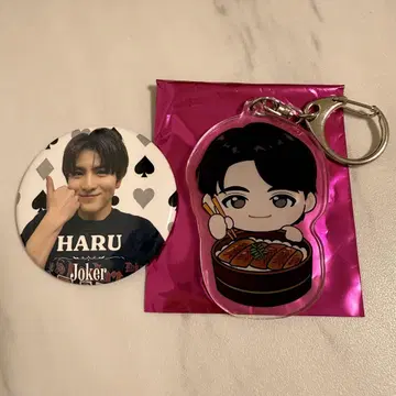 초특급 하루 Joker 캔뱃지 지역 한정 키링 아이치