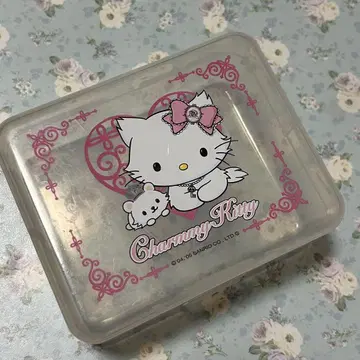 챠미키티 플라스틱 케이스