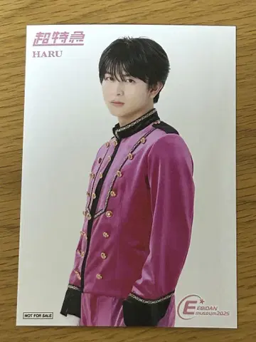 EBiDAN museum 입장 혜택 초특급 하루 카시와기 유