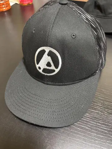 linkin park from zero world tour 캡