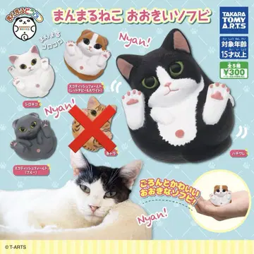 만마루쨩 동물 만마루쨩 고양이 큰 소프트 비닐 가챠 4종 5개 세트