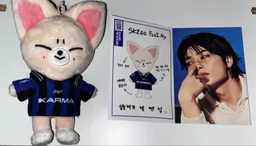 straykids KARMA skzoo 폭시니 아이엔
