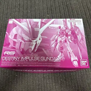 RG 1/144 데스티니 임펄스