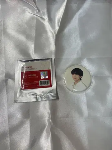 BTS 태태 캔뱃지
