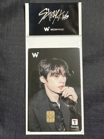 StrayKids WOWPASS 리노 스키즈