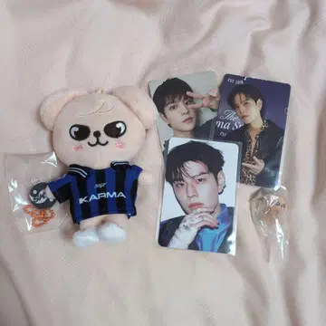 StrayKids KARMA SKZOOver 퍼핌 승민