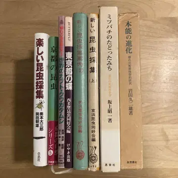 즐거운 곤충 채집 / 교토의 곤충 외 8권 곤충 관련 도서