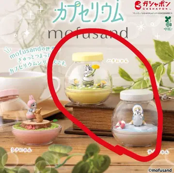mofusand 모프 샌드 카프세리움