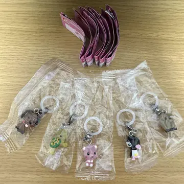 익명 배송 5종 엽서 반려동물 액세서리 메지루시 2