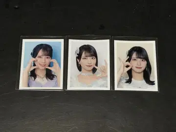 =LOVE 이코러브 ID PHOTO 스티커 사사키 마이카 묶음 판매