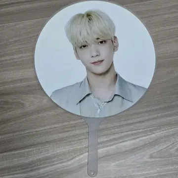 txt 수빈 부채