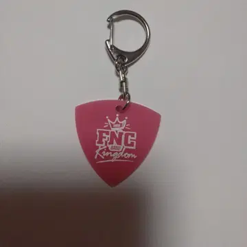 FNC BAND KINGDOM Hi-Fi Un!corn 피크 키링