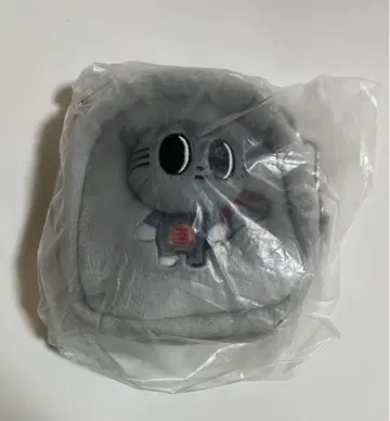 미개봉 새상품 TXT PPULBATU 팝업 태현 멀티 파우치