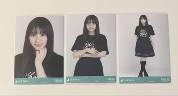 노기자카46 브로마이드 카와사키 벚꽃 도쿄 라이브T셔츠 3종 컴프
