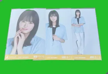 엔도 사쿠라 썸머 자켓 브로마이드 컴프