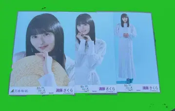 엔도 사쿠라 한여름 전국 투어 2025 special 브로마이드 컴프