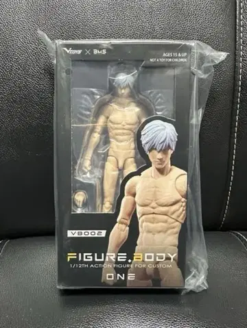Vtoys x BMS 1/12 남성 소체