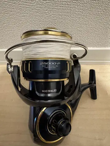 솔티가 25000-P