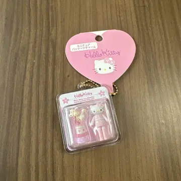 산리오 캐릭터즈 미니어처 패키지 참 롱 레그 키티 B