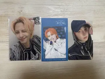 JO1 카와시리 렌 트레이딩 카드 모음