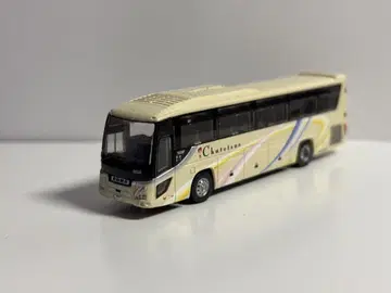 중철 버스 세레가