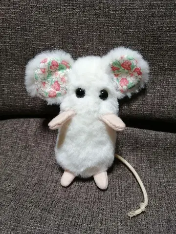 히요로츄 씨
