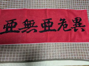 아나키 타월