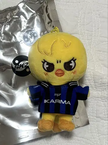 KARMA skzoo 포가리 Stray Kids 스키즈
