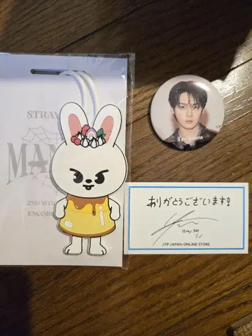 straykids 리노 리빗 러기지 택 세트