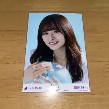 스가와라 사츠키 special
