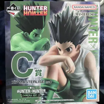 HUNTER x HUNTER C상 곤
