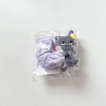RIIZE 라이즈 riize 스크런치 원빈 냥