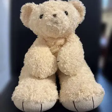 아이클레오 오리지널 베어