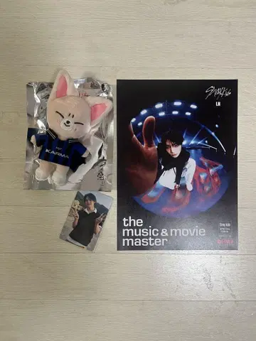 Stray Kids KARMA SKZOO 아이엔 폭시니